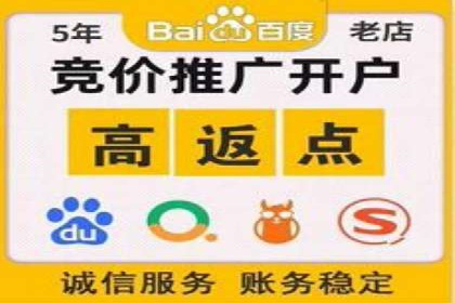SEM竞价推广案例：电商行业成功案例解析